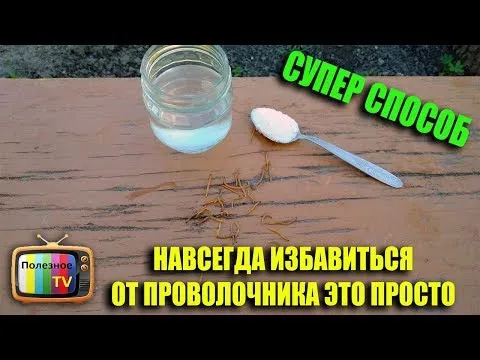 Нажми и смотри