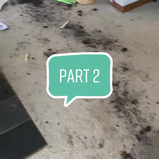 Нажми и смотри