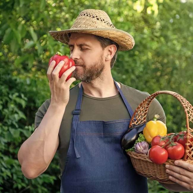 Чего ждать садоводам и огородникам от лета 2025 года — прогноз на урожай