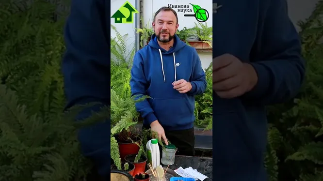 Нажми и смотри