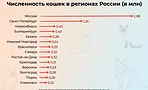Какая порода кошек подойдёт именно вам? Выбираем питомца по характеру и образу жизни