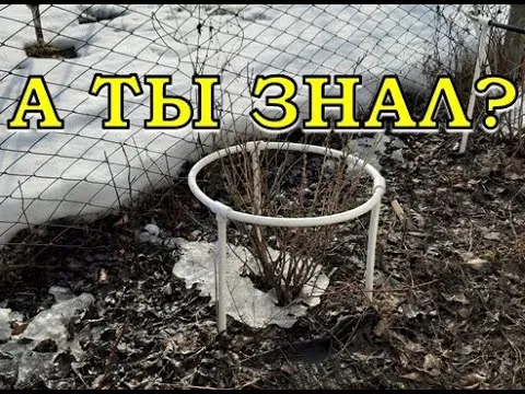 Нажми и смотри
