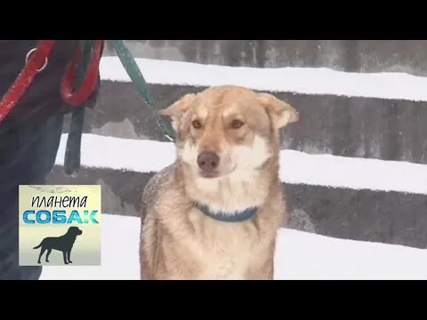 Нажми и смотри