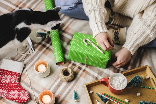 7 популярных подарков, которые легко можно передарить кому-то ещё, и кот