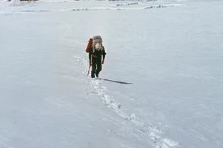 «Сказали, что пойдут до конца»: стали известны новые подробности гибели Натальи Наговициной