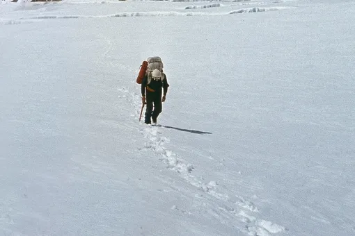 «Сказали, что пойдут до конца»: стали известны новые подробности гибели Натальи Наговициной «Сказали, что пойдут до конца»: стали известны новые подробности гибели Натальи Наговициной