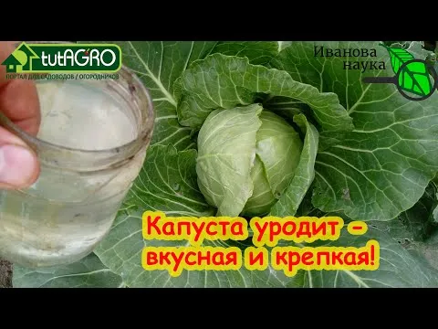 Нажми и смотри