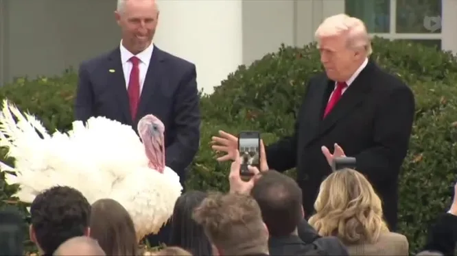 Нажми и смотри