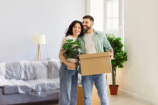 Нужны колышки и полотенца: что делать с комнатными растениями при переезде