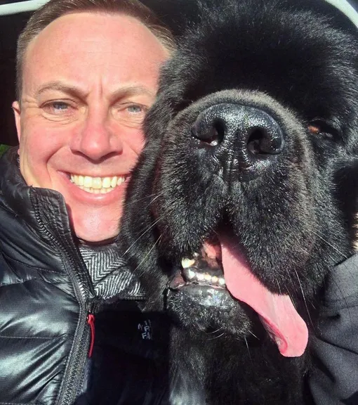 ньюф, полицейский собака ньюф, полицейский собака