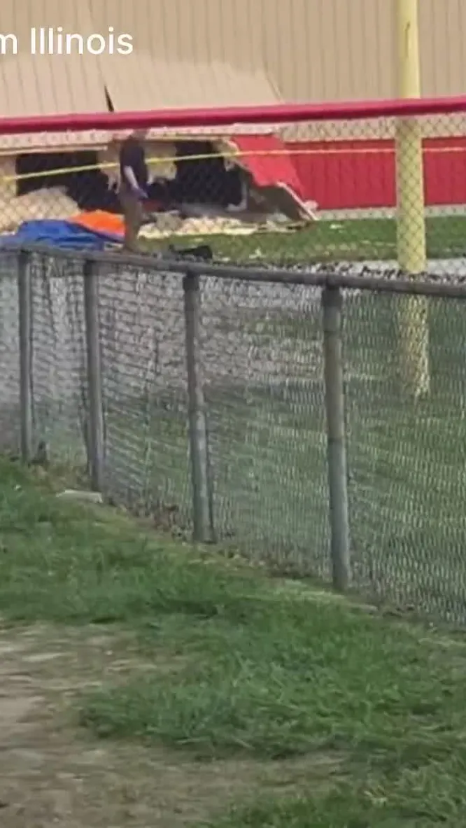 Нажми и смотри