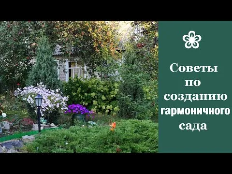 Нажми и смотри