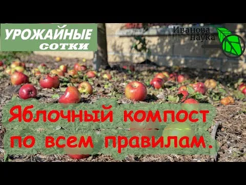 Нажми и смотри