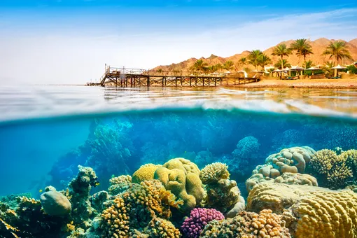 Египетские визы подорожают: сколько придётся заплатить