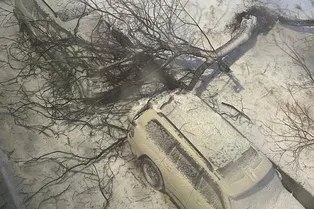 Закрытые школы и отмененные рейсы: мощный циклон обрушился на Камчатку