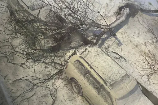 Закрытые школы и отмененные рейсы: мощный циклон обрушился на Камчатку Закрытые школы и отмененные рейсы: мощный циклон обрушился на Камчатку