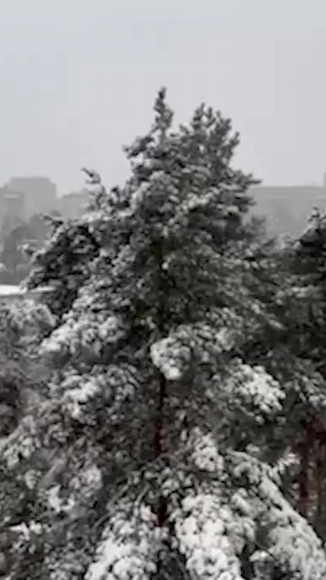 Нажми и смотри