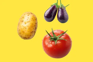 Определите дачное растение по цветку: тест для настоящих садоводов