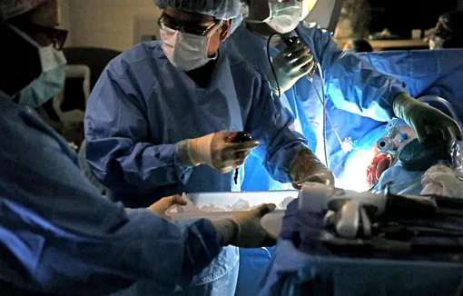 Пациент в коме подавал знаки, что жив, но был отправлен на изъятие органов. Его спас нейрохирург Пациент в коме подавал знаки, что жив, но был отправлен на изъятие органов. Его спас нейрохирург