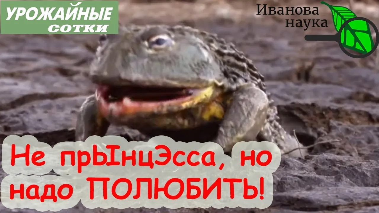 Нажми и смотри Нажми и смотри