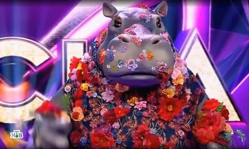 Гиппопотам