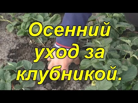 Нажми и смотри
