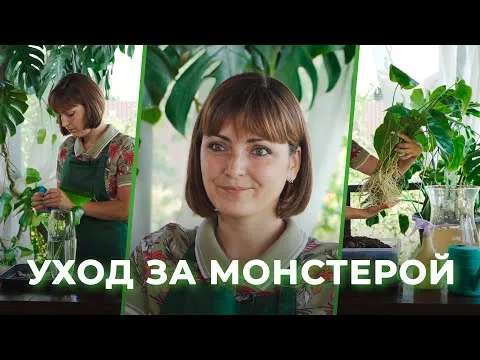 Нажми и смотри