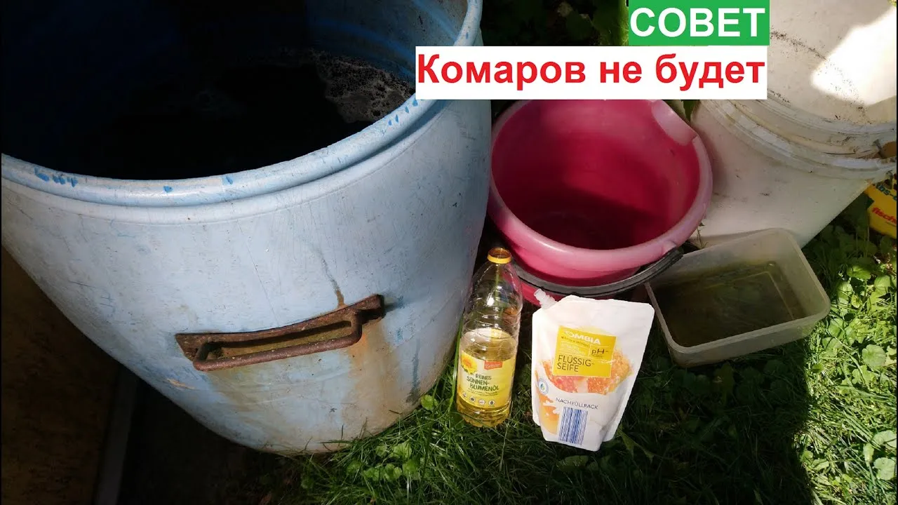 Нажми и смотри