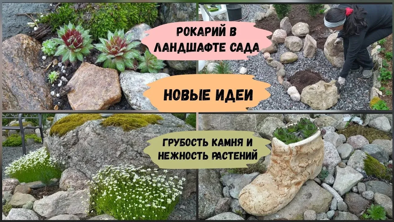 Нажми и смотри Нажми и смотри