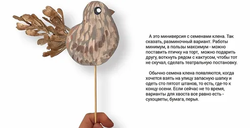 Птичка из семян клёна Птичка из семян клёна