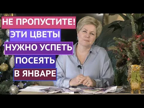 Нажми и смотри