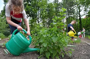 Школьников хотят обязать выполнять общественно-полезные работы Школьников хотят обязать выполнять общественно-полезные работы