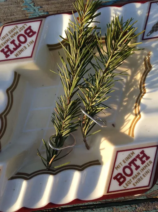 вороны сделали подарок вороны сделали подарок