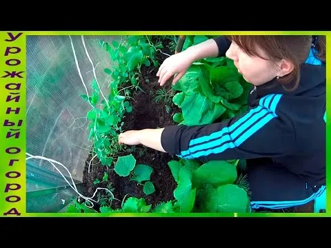Нажми и смотри Нажми и смотри