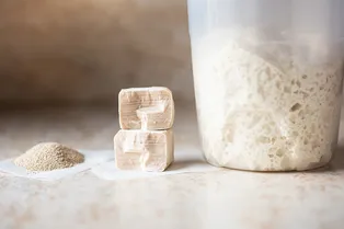 Как приготовить настой из дрожжей для растений своими руками: 7 рецептов Как приготовить настой из дрожжей для растений своими руками: 7 рецептов