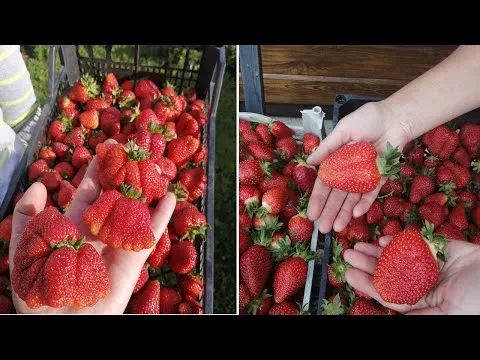 Нажми и смотри Нажми и смотри