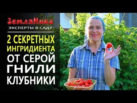 Нажми и смотри