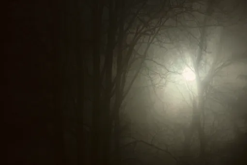 9 научных фактов о ночных кошмарах