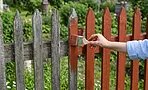 Как защитить забор от гниения: простая домашняя пропитка сохранит дерево на десятилетия Как защитить забор от гниения: простая домашняя пропитка сохранит дерево на десятилетия