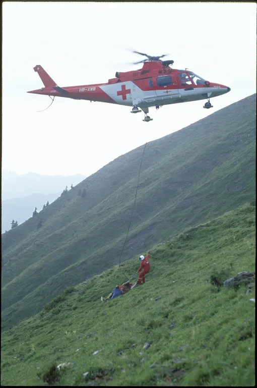 Путешествие коровы на вертолете, 1994 год корову уносит вертолет