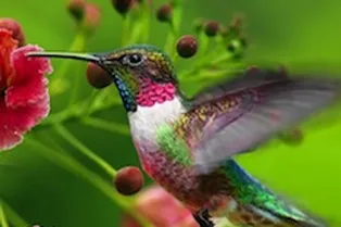 Выставка «Ты – мне, я – тебе»