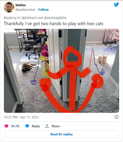 как уделять внимание кошке как уделять внимание кошке