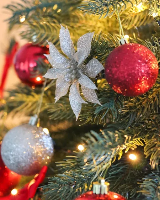 Так украшают елку в год Огненной Лошади: серебро добавляет блеска, красный — энергии. Так украшают елку в год Огненной Лошади: серебро добавляет блеска, красный — энергии.