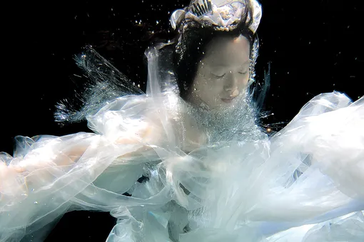 В Музее Москвы открылась выставка подводных фотографий Зены Холлоуэй В Музее Москвы открылась выставка подводных фотографий Зены Холлоуэй