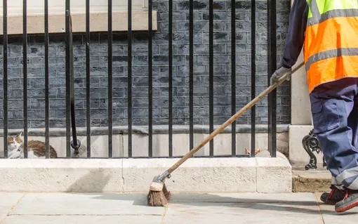 Дворник и кот