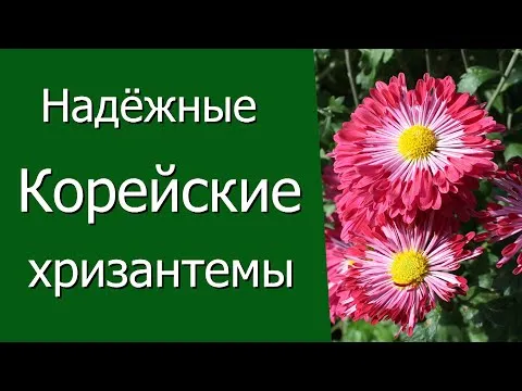 Нажми и смотри