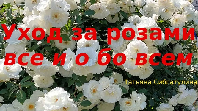 Нажми и смотри