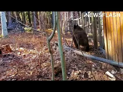 Нажми и смотри Нажми и смотри