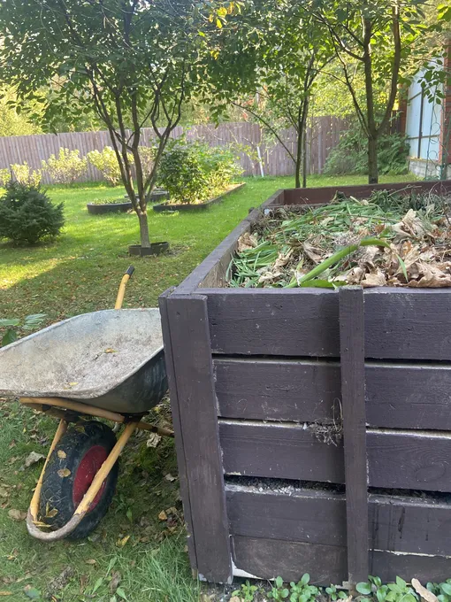 компостная куча