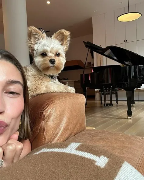 питомцы звезд